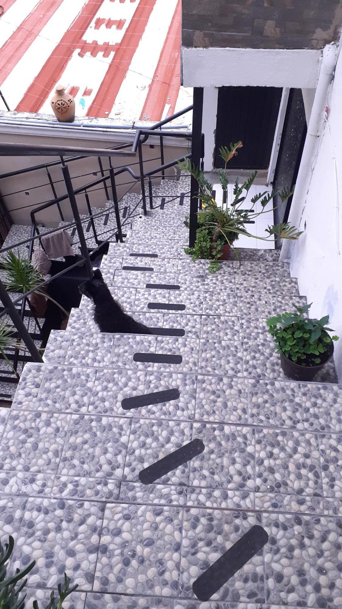 Aparta-Hotel Casa Real Apartamentos ชาปาลา ห้อง รูปภาพ